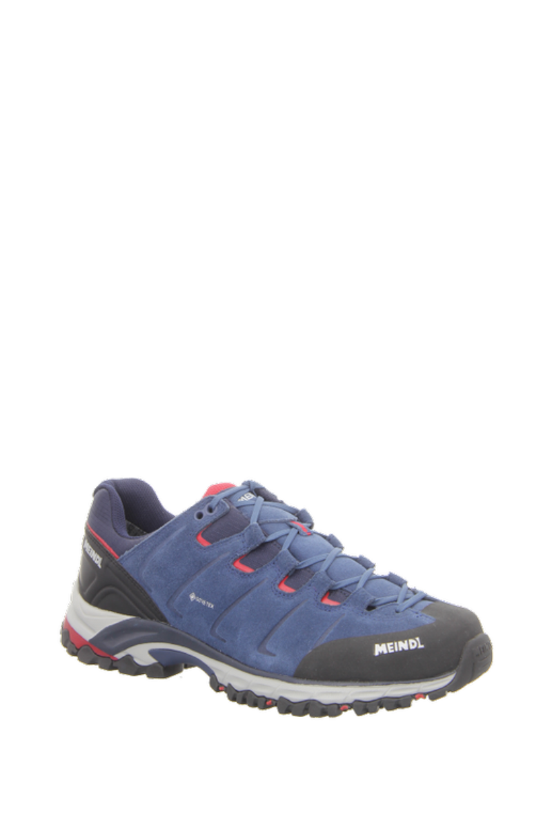 Tarvis Evo GTX (Herren)