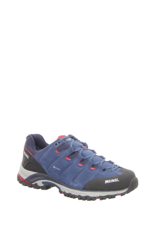 Tarvis Evo GTX (Herren)